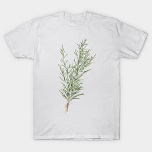 watercolor rosemary T-Shirt